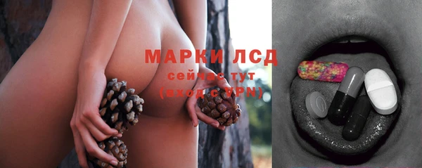 ешки Дмитровск