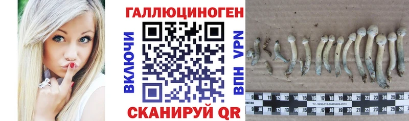 Псилоцибиновые грибы GOLDEN TEACHER  Купить где  Каневская 